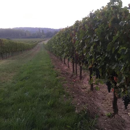 Chateau Le Noble Winery Near St Emilion Villa Saint-Germain-du-Puch Exterior foto